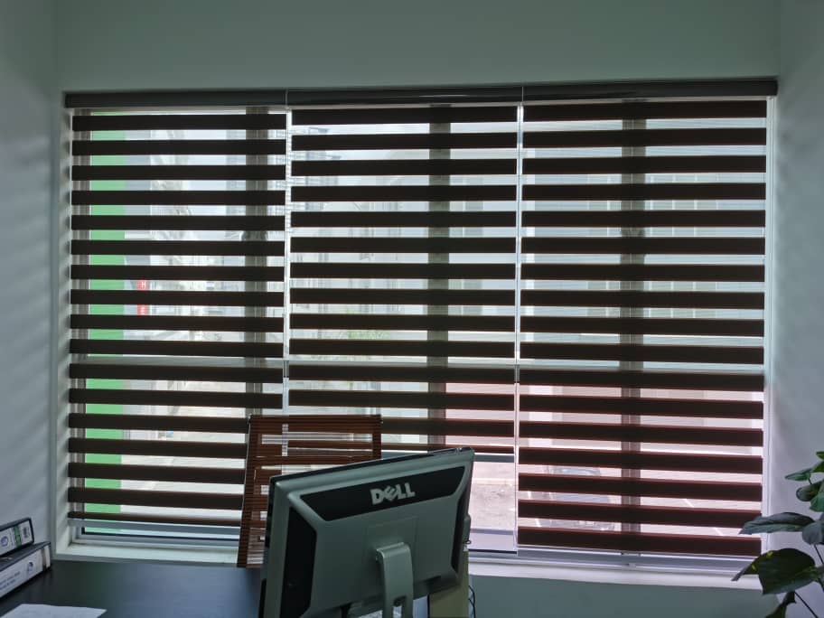 office windows zebra blinds