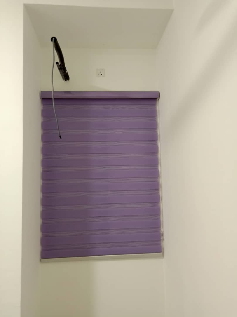 purple zebra blinds