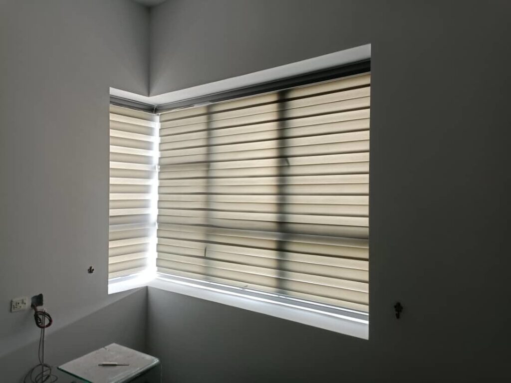 zebra blinds