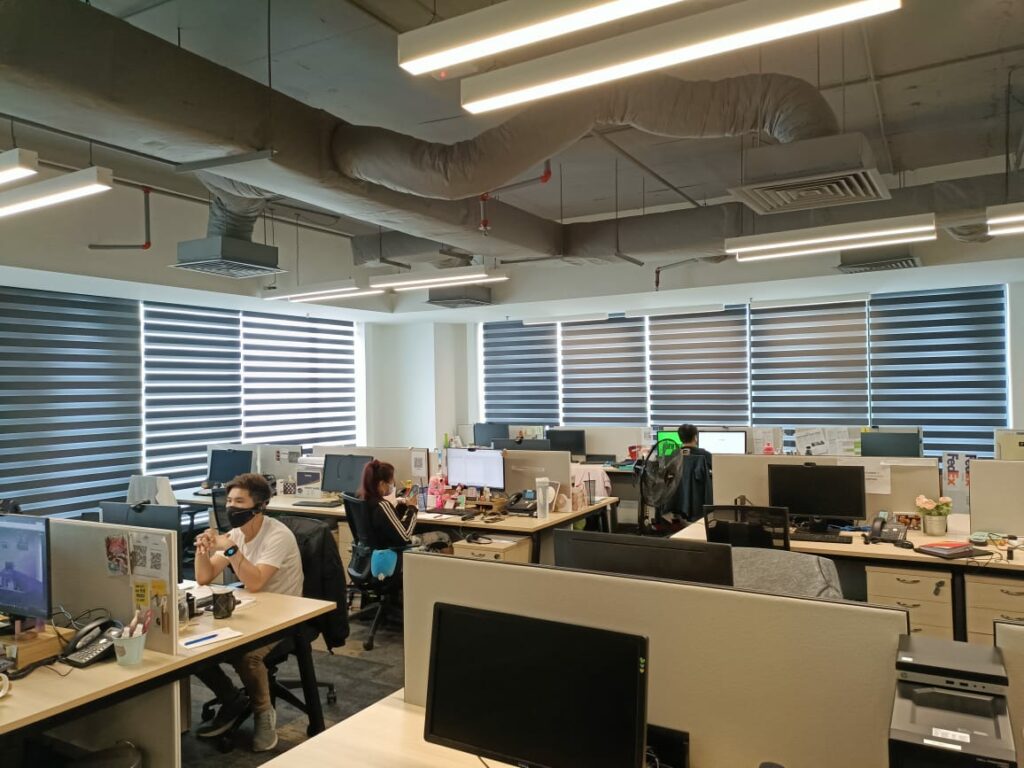 zebra blinds for office