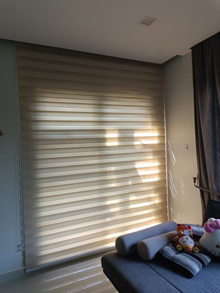 Tisa Zebra Blind